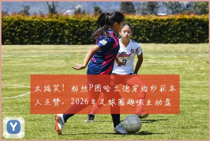 太搞笑！粉丝P图哈兰德穿婚纱获本人点赞，2026年足球圈趣味互动盘点